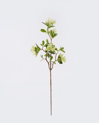 Artificial Flower 26*10*77cm Winter jasmine single stem GS-84426004-G1 2026SEP 3,000+ sqm showroom with thousands of artificial flowers, plants & trees ready for global sourcing. Artificial Flower 26*10*77cm Winter jasmine single stem GS-84426004-G1 2026SEP 3,000+ sqm showroom with thousands of artificial flowers, plants & trees ready for global sourcing.