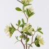GS-84426004-G1_2 Artificial Flower 26*10*77cm Winter jasmine single stem GS-84426004-G1 2026SEP 3,000+ sqm showroom with thousands of artificial flowers, plants & trees ready for global sourcing.