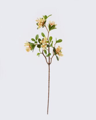 Artificial Flower 26*10*77cm Winter jasmine single stem GS-84426004-Y1 2026SEP 3,000+ sqm showroom with thousands of artificial flowers, plants & trees ready for global sourcing. Artificial Flower 26*10*77cm Winter jasmine single stem GS-84426004-Y1 2026SEP 3,000+ sqm showroom with thousands of artificial flowers, plants & trees ready for global sourcing.