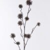 Artificial Branch fruit Common camptotheca fruit single stem GS-54226005_8 Artificial Branch fruit 13*9*96cm Common camptotheca fruit single stem GS-54226005 2026Oct 3,000+ sqm showroom with thousands of artificial flowers, plants & trees ready for global sourcing.