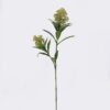 Artificial Flower Berry spray 2 GS-15420037R-G1_3 Artificial Flower 21*72CM Berry spray*2 GS-15420037R-G1 2026SEP 3,000+ sqm showroom with thousands of artificial flowers, plants & trees ready for global sourcing.