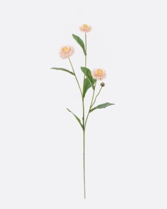 Artificial Flower 17*17*57cm Callistephus chinensis*3 single stem GS-14525013-O2 2026SEP 3,000+ sqm showroom with thousands of artificial flowers, plants & trees ready for global sourcing.
