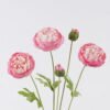 Artificial Flower 18*7*61cm Camellia *5 single stem GS-53626004-P1 2026Oct 3,000+ sqm showroom with thousands of artificial flowers, plants & trees ready for global sourcing.