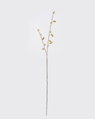 Artificial Flower 12*1*101cm Caterpillar branches single stem GS-29425045-G1 2026Oct 3,000+ sqm showroom with thousands of artificial flowers, plants & trees ready for global sourcing. Artificial Flower 12*1*101cm Caterpillar branches single stem GS-29425045-G1 2026Oct 3,000+ sqm showroom with thousands of artificial flowers, plants & trees ready for global sourcing.