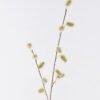 Artificial Flower Caterpillar branches single stem GS-29425045-G1_1 Artificial Flower 12*1*101cm Caterpillar branches single stem GS-29425045-G1 2026Oct 3,000+ sqm showroom with thousands of artificial flowers, plants & trees ready for global sourcing.