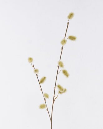 Artificial Flower 12*1*101cm Caterpillar branches single stem GS-29425045-G1 2026Oct 3,000+ sqm showroom with thousands of artificial flowers, plants & trees ready for global sourcing. Artificial Flower 12*1*101cm Caterpillar branches single stem GS-29425045-G1 2026Oct 3,000+ sqm showroom with thousands of artificial flowers, plants & trees ready for global sourcing.