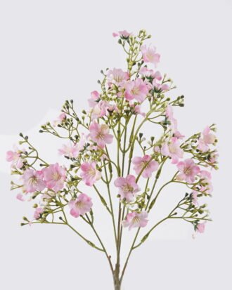 Artificial Flower 16*7*43cm Cherry blossom *5 bush GS-41126002-P1 2026Oct 3,000+ sqm showroom with thousands of artificial flowers, plants & trees ready for global sourcing. Artificial Flower 16*7*43cm Cherry blossom *5 bush GS-41126002-P1 2026Oct 3,000+ sqm showroom with thousands of artificial flowers, plants & trees ready for global sourcing.