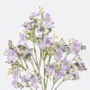 Artificial Flower Cherry blossom 5 bush GS-41126002-Z1_5 Artificial Flower 16*7*43cm Cherry blossom *5 bush GS-41126002-Z1 2026Oct 3,000+ sqm showroom with thousands of artificial flowers, plants & trees ready for global sourcing.