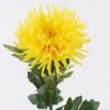 Artificial Flower Chrysanthemum*1 GS-05523092-Y1 2026SEP 3,000+ sqm showroom with thousands of artificial flowers, plants & trees ready for global sourcing.