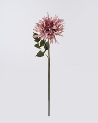 Artificial Flower 18*10*68cm Chrysanthemum single stem GS-35126036-P1 2026Oct 3,000+ sqm showroom with thousands of artificial flowers, plants & trees ready for global sourcing. Artificial Flower 18*10*68cm Chrysanthemum single stem GS-35126036-P1 2026Oct 3,000+ sqm showroom with thousands of artificial flowers, plants & trees ready for global sourcing.