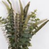 Artificial Flower Eucalyptus Leaf Setaria viridis 7 bundle GS-37526017_3 Artificial Flower 30*10*87cm Eucalyptus Leaf Setaria viridis *7 bundle GS-37526017 2026Oct 3,000+ sqm showroom with thousands of artificial flowers, plants & trees ready for global sourcing.