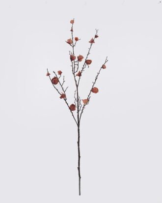 Artificial Flower 17*6*97cm Flower single stem GS-35126029-O1 2026Oct 3,000+ sqm showroom with thousands of artificial flowers, plants & trees ready for global sourcing. Artificial Flower 17*6*97cm Flower single stem GS-35126029-O1 2026Oct 3,000+ sqm showroom with thousands of artificial flowers, plants & trees ready for global sourcing.