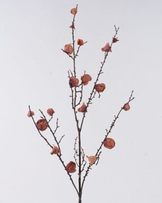 Artificial Flower 17*6*97cm Flower single stem GS-35126029-O1 2026Oct 3,000+ sqm showroom with thousands of artificial flowers, plants & trees ready for global sourcing. Artificial Flower 17*6*97cm Flower single stem GS-35126029-O1 2026Oct 3,000+ sqm showroom with thousands of artificial flowers, plants & trees ready for global sourcing.