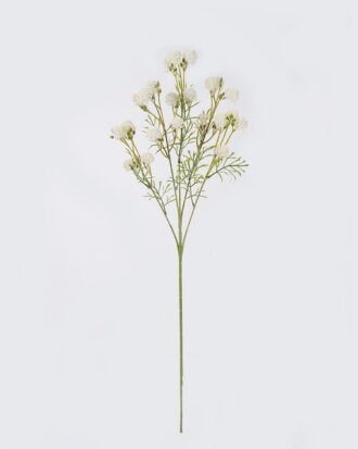 Artificial Flower 20*10*80cm Fruit single stem GS-36626009CT-R-W1 2026Oct 3,000+ sqm showroom with thousands of artificial flowers, plants & trees ready for global sourcing. Artificial Flower 20*10*80cm Fruit single stem GS-36626009CT-R-W1 2026Oct 3,000+ sqm showroom with thousands of artificial flowers, plants & trees ready for global sourcing.