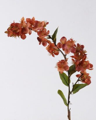 Artificial Flower 14*7*79cm Gentianella flower single stem GS-35126025-O1 2026Oct 3,000+ sqm showroom with thousands of artificial flowers, plants & trees ready for global sourcing. Artificial Flower 14*7*79cm Gentianella flower single stem GS-35126025-O1 2026Oct 3,000+ sqm showroom with thousands of artificial flowers, plants & trees ready for global sourcing.