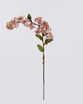 Artificial Flower 14*7*79cm Gentianella flower single stem GS-35126025-P1 2026Oct 3,000+ sqm showroom with thousands of artificial flowers, plants & trees ready for global sourcing. Artificial Flower 14*7*79cm Gentianella flower single stem GS-35126025-P1 2026Oct 3,000+ sqm showroom with thousands of artificial flowers, plants & trees ready for global sourcing.