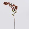 Artificial Flower Gentianella flower single stem GS-35126025_4 Artificial Flower 14*7*79cm Gentianella flower single stem GS-35126025 2026Oct 3,000+ sqm showroom with thousands of artificial flowers, plants & trees ready for global sourcing.