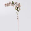Artificial Flower Gentianella flower single stem GS-35126025_7 Artificial Flower 14*7*79cm Gentianella flower single stem GS-35126025 2026Oct 3,000+ sqm showroom with thousands of artificial flowers, plants & trees ready for global sourcing.