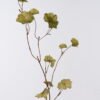 Artificial Flower Geranium leaf single stem GS-35126024_2 Artificial Flower 30*20*104cm Geranium leaf single stem GS-35126024 2026Oct 3,000+ sqm showroom with thousands of artificial flowers, plants & trees ready for global sourcing.