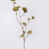 Artificial Flower Geranium leaf single stem GS-35126024_3 Artificial Flower 30*20*104cm Geranium leaf single stem GS-35126024 2026Oct 3,000+ sqm showroom with thousands of artificial flowers, plants & trees ready for global sourcing.
