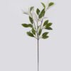 Artificial Flower Grass Single Stem GS-27926072-W1_1 Artificial Flower 15*8*72cm Grass Single Stem GS-27926072-W1 2026Oct 3,000+ sqm showroom with thousands of artificial flowers, plants & trees ready for global sourcing.