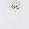 Artificial Flower Hydrangea DK Anti-UV single stem GS-15426037-UV-KD-W1_3 Artificial Flower 26*26*108cm Hydrangea DK Anti-UV single stem GS-15426037-UV-KD-W1 2026SEP 3,000+ sqm showroom with thousands of artificial flowers, plants & trees ready for global sourcing.