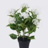Artificial Flower 45*45*68cm Hydrangea in PP pot GS-15424041-2M2-W1 2026SEP 3,000+ sqm showroom with thousands of artificial flowers, plants & trees ready for global sourcing.