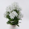 Artificial Flower Hydrangea in PP pot GS-15426052-W1_1 Artificial Flower 40*40*70cm Hydrangea in PP pot GS-15426052-W1 2026SEP 3,000+ sqm showroom with thousands of artificial flowers, plants & trees ready for global sourcing.
