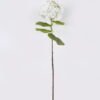 Artificial Flower Hydrangea single stem moist real touch GS-31326001-B1_5 Artificial Flower 19*15*80cm Hydrangea single stem/moist real touch GS-31326001-B1 2026Oct 3,000+ sqm showroom with thousands of artificial flowers, plants & trees ready for global sourcing.