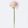 Artificial Flower Kaffir lily GS-35018003-P1_5 Artificial Flower 23*18*69CM Kaffir lily GS-35018003-P1 2026Oct 3,000+ sqm showroom with thousands of artificial flowers, plants & trees ready for global sourcing.