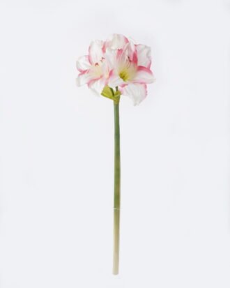 Artificial Flower 23*18*69CM Kaffir lily GS-35018003-P1 2026Oct 3,000+ sqm showroom with thousands of artificial flowers, plants & trees ready for global sourcing. Artificial Flower 23*18*69CM Kaffir lily GS-35018003-P1 2026Oct 3,000+ sqm showroom with thousands of artificial flowers, plants & trees ready for global sourcing.