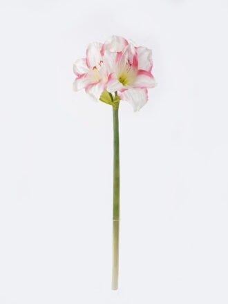 Artificial Flower 23*18*69CM Kaffir lily GS-35018003-R2 2026Oct 3,000+ sqm showroom with thousands of artificial flowers, plants & trees ready for global sourcing.