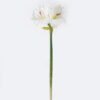 Artificial Flower Kaffir lily GS-35018003-W1_4 Artificial Flower 23*18*69CM Kaffir lily GS-35018003-W1 2026Oct 3,000+ sqm showroom with thousands of artificial flowers, plants & trees ready for global sourcing.