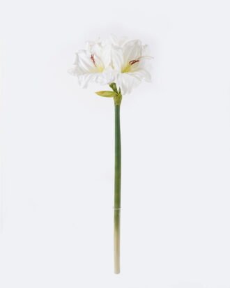 Artificial Flower 23*18*69CM Kaffir lily GS-35018003-W1 2026Oct 3,000+ sqm showroom with thousands of artificial flowers, plants & trees ready for global sourcing. Artificial Flower 23*18*69CM Kaffir lily GS-35018003-W1 2026Oct 3,000+ sqm showroom with thousands of artificial flowers, plants & trees ready for global sourcing.