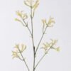 Artificial Flower Kangaroo paw single stem GS-30323001-G1_1 Artificial Flower 11*11*76cm Kangaroo paw single stem GS-30323001-G1 2026Oct 3,000+ sqm showroom with thousands of artificial flowers, plants & trees ready for global sourcing.