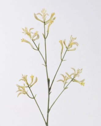 Artificial Flower 11*11*76cm Kangaroo paw single stem GS-30323001-G1 2026Oct 3,000+ sqm showroom with thousands of artificial flowers, plants & trees ready for global sourcing. Artificial Flower 11*11*76cm Kangaroo paw single stem GS-30323001-G1 2026Oct 3,000+ sqm showroom with thousands of artificial flowers, plants & trees ready for global sourcing.