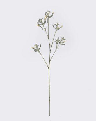 Artificial Flower 11*11*76cm Kangaroo paw single stem GS-30323001-G2 2026Oct 3,000+ sqm showroom with thousands of artificial flowers, plants & trees ready for global sourcing. Artificial Flower 11*11*76cm Kangaroo paw single stem GS-30323001-G2 2026Oct 3,000+ sqm showroom with thousands of artificial flowers, plants & trees ready for global sourcing.