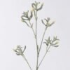 Artificial Flower Kangaroo paw single stem GS-30323001-G2_1 Artificial Flower 11*11*76cm Kangaroo paw single stem GS-30323001-G2 2026Oct 3,000+ sqm showroom with thousands of artificial flowers, plants & trees ready for global sourcing.