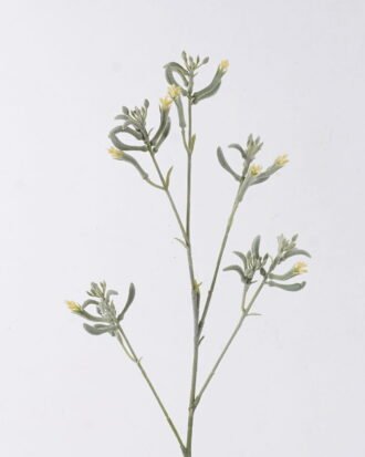 Artificial Flower 11*11*76cm Kangaroo paw single stem GS-30323001-G2 2026Oct 3,000+ sqm showroom with thousands of artificial flowers, plants & trees ready for global sourcing. Artificial Flower 11*11*76cm Kangaroo paw single stem GS-30323001-G2 2026Oct 3,000+ sqm showroom with thousands of artificial flowers, plants & trees ready for global sourcing.