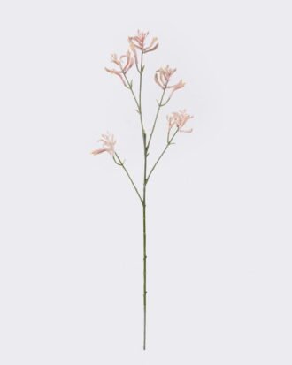 Artificial Flower 11*11*76cm Kangaroo paw single stem GS-30323001-P1 2026Oct 3,000+ sqm showroom with thousands of artificial flowers, plants & trees ready for global sourcing. Artificial Flower 11*11*76cm Kangaroo paw single stem GS-30323001-P1 2026Oct 3,000+ sqm showroom with thousands of artificial flowers, plants & trees ready for global sourcing.