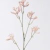 Artificial Flower Kangaroo paw single stem GS-30323001-P1_1 Artificial Flower 11*11*76cm Kangaroo paw single stem GS-30323001-P1 2026Oct 3,000+ sqm showroom with thousands of artificial flowers, plants & trees ready for global sourcing.