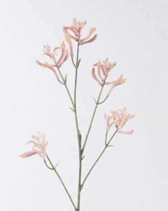 Artificial Flower 11*11*76cm Kangaroo paw single stem GS-30323001-P1 2026Oct 3,000+ sqm showroom with thousands of artificial flowers, plants & trees ready for global sourcing. Artificial Flower 11*11*76cm Kangaroo paw single stem GS-30323001-P1 2026Oct 3,000+ sqm showroom with thousands of artificial flowers, plants & trees ready for global sourcing.