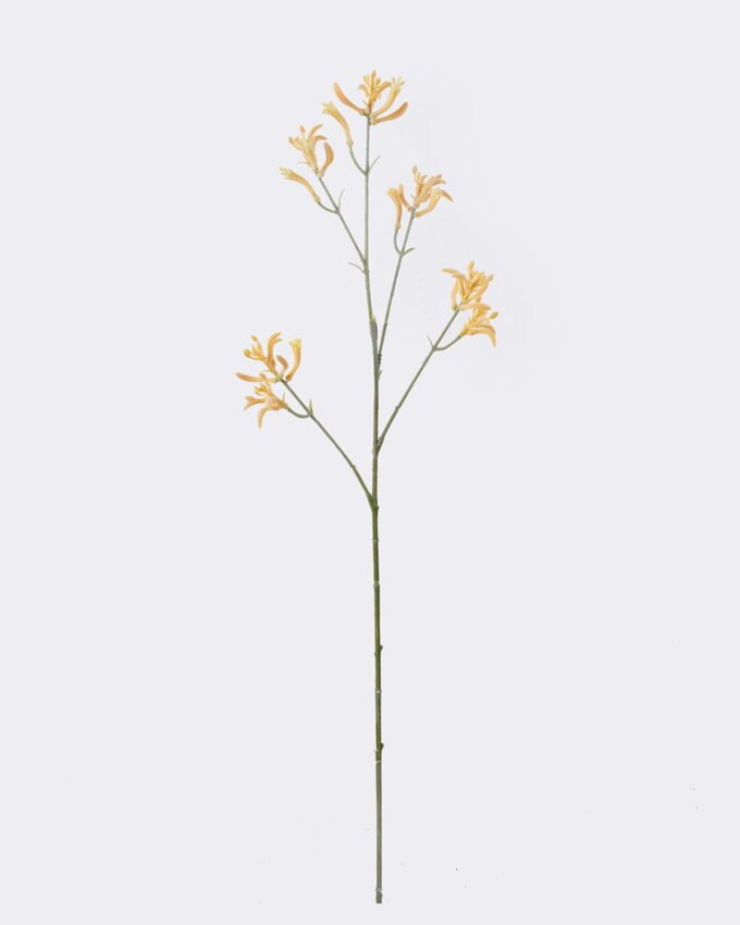 Artificial Flower 11*11*76cm Kangaroo paw single stem GS-30323001-Y2 2026Oct 3,000+ sqm showroom with thousands of artificial flowers, plants & trees ready for global sourcing.