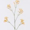 Artificial Flower Kangaroo paw single stem GS-30323001-Y2_1 Artificial Flower 11*11*76cm Kangaroo paw single stem GS-30323001-Y2 2026Oct 3,000+ sqm showroom with thousands of artificial flowers, plants & trees ready for global sourcing.