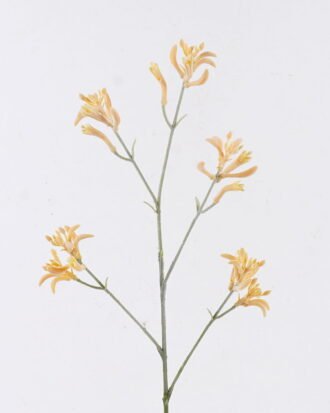 Artificial Flower 11*11*76cm Kangaroo paw single stem GS-30323001-Y2 2026Oct 3,000+ sqm showroom with thousands of artificial flowers, plants & trees ready for global sourcing. Artificial Flower 11*11*76cm Kangaroo paw single stem GS-30323001-Y2 2026Oct 3,000+ sqm showroom with thousands of artificial flowers, plants & trees ready for global sourcing.