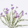 Artificial Flower Lavender Chrysanthemum 7 bush GS-41126003-Z1_1 Artificial Flower 17*6*40cm Lavender Chrysanthemum *7 bush GS-41126003-Z1 2026Oct 3,000+ sqm showroom with thousands of artificial flowers, plants & trees ready for global sourcing.