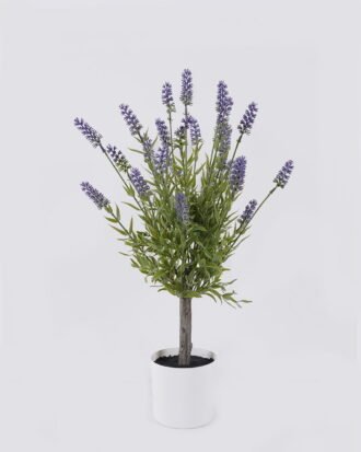 Artificial Flower 30*30*60cm Lavender in PP pot GS-02225030R 2026SEP 3,000+ sqm showroom with thousands of artificial flowers, plants & trees ready for global sourcing. Artificial Flower 30*30*60cm Lavender in PP pot GS-02225030R 2026SEP 3,000+ sqm showroom with thousands of artificial flowers, plants & trees ready for global sourcing.