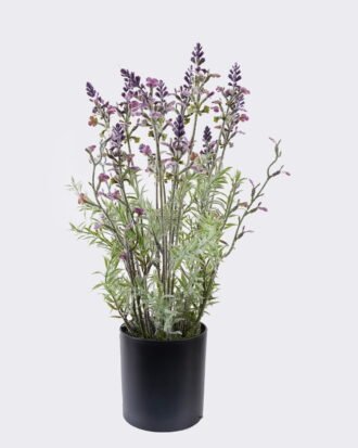 Artificial Flower 20*15*45cm Lavender in PP pot GS-27926064 2026Oct 3,000+ sqm showroom with thousands of artificial flowers, plants & trees ready for global sourcing. Artificial Flower 20*15*45cm Lavender in PP pot GS-27926064 2026Oct 3,000+ sqm showroom with thousands of artificial flowers, plants & trees ready for global sourcing.
