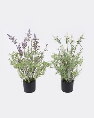 Artificial Flower 18*13*36cm Lavender in PP pot GS-27926065 2026Oct 3,000+ sqm showroom with thousands of artificial flowers, plants & trees ready for global sourcing. Artificial Flower 18*13*36cm Lavender in PP pot GS-27926065 2026Oct 3,000+ sqm showroom with thousands of artificial flowers, plants & trees ready for global sourcing.