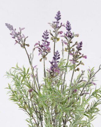 Artificial Flower 18*13*36cm Lavender in PP pot GS-27926065 2026Oct 3,000+ sqm showroom with thousands of artificial flowers, plants & trees ready for global sourcing. Artificial Flower 18*13*36cm Lavender in PP pot GS-27926065 2026Oct 3,000+ sqm showroom with thousands of artificial flowers, plants & trees ready for global sourcing.